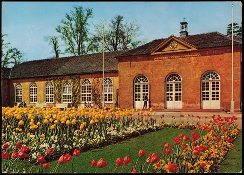 Ansichtskarte Bad Driburg Blumen Beet a.d. Wandelhalle 1970