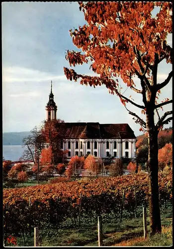 Ansichtskarte Birnau-Uhldingen-Mühlhofen Klosterkirche - Herbstlaub 1972