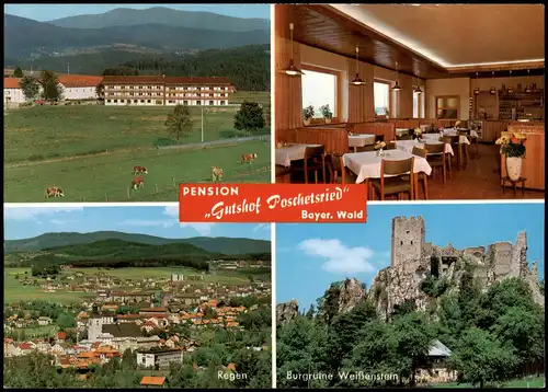 Ansichtskarte Regen Pension Gutshof Poschetsried 1978