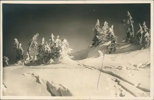 Feldberg (Schwarzwald) Vereiste Wettertannen im Grüble Feldberg - Fotokarte 1928