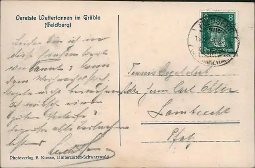 Feldberg (Schwarzwald) Vereiste Wettertannen im Grüble Feldberg - Fotokarte 1928