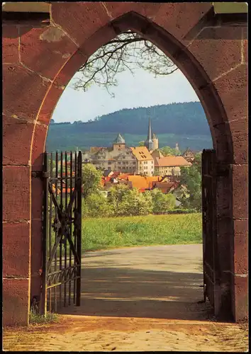 Ansichtskarte Schlitz Panorama-Ansicht durch Tor-Bogen der Burgenstadt 1970