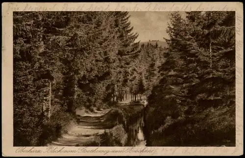 Ansichtskarte Ilsenburg (Harz) Oberharz Blick vom Goetheweg zum Brocken 1924