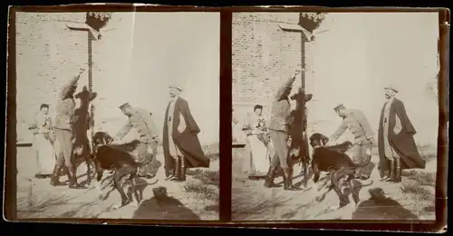 .Russland Rußland Россия Krankenschwester, Soldaten Hunde 1906 Privatfoto Foto