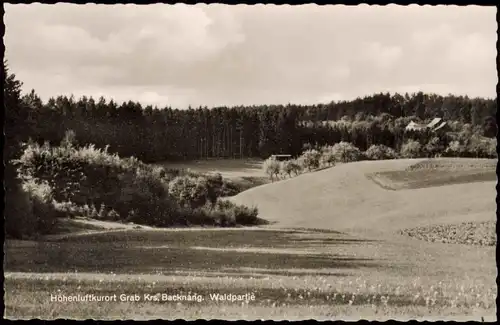 Backnang Umland-Ansichn Höhenluftkurort Grab Krs. Backnang Waldpartie 1950