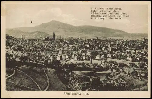 Ansichtskarte Freiburg im Breisgau Panorama-Ansicht, Stadt-Ansicht 1930