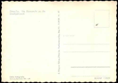 Ansichtskarte Zittau Die Blumenuhr an der Stadtgärtnerei 1957