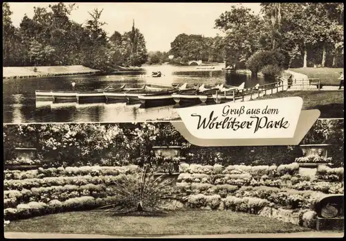 Wörlitz-Oranienbaum-Wörlitz Wörlitzer Park, Ruderboote, Pfau 1967