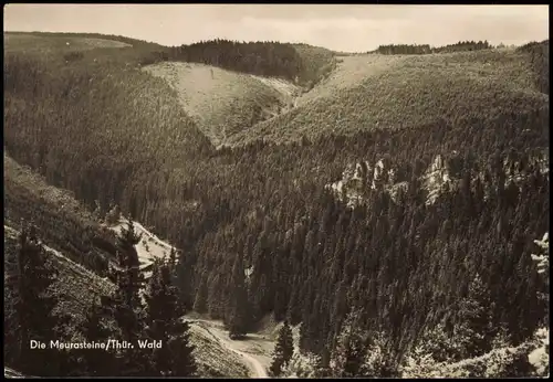 Ansichtskarte Meura Die Meurasteine 1973