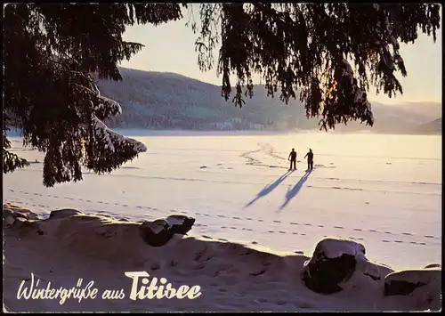 Ansichtskarte Titisee-Neustadt Wintergrüße der zugefrorene See 1985
