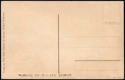 Ansichtskarte Neustift im Stubaital Stubaital Talansicht. 1912