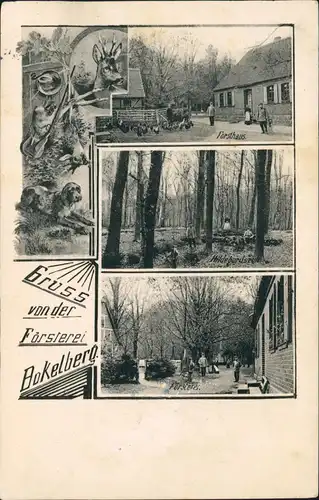 Ansichtskarte _allgemein Schleswig Holstein 3 Bild Försterei Bokelberg 1912
