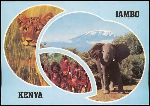 Postcard _Allgemein MB Kenia Kenya Löwe, Elefant - Jambo 1980