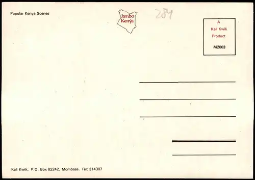 Postcard _Allgemein MB Kenia Kenya Löwe, Elefant - Jambo 1980