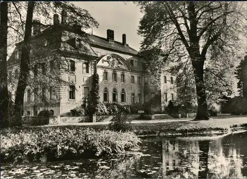 Ansichtskarte Branitz-Cottbus Schloss, Berzirksmuseum 1981