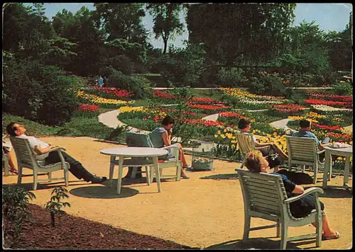 Ansichtskarte Essen (Ruhr) BUNDESGARTENSCHAU Dahlienarena 1965