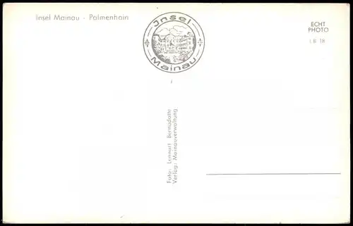 Ansichtskarte Insel Mainau-Konstanz Insel Mainau. Palmenhain 1962