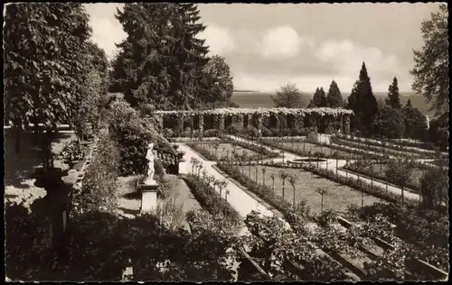 Ansichtskarte Insel Mainau-Konstanz Rosengarten - Bodensee 1961