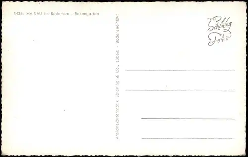 Ansichtskarte Insel Mainau-Konstanz Rosengarten - Bodensee 1961