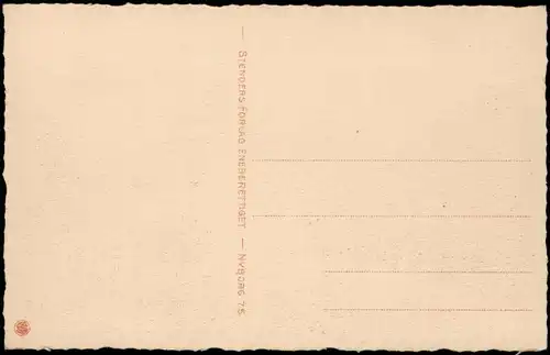 Postcard Nieburg Nyborg Parti fra Skippergade 1925