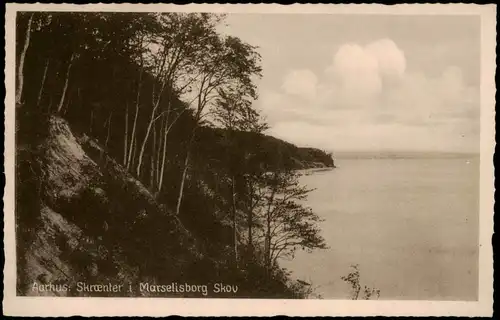 Postcard Aarhus Skrænter i Marselisborg Skov 1928