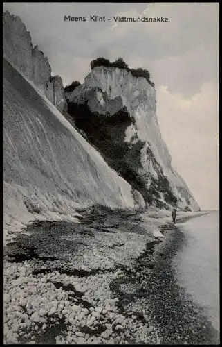 Postcard .Dänemark - Møens Klint - Vidtmundsnakke. 1915
