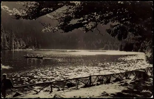 Ansichtskarte Bayerisch Eisenstein Arbersee im Bayerischen Wald 1956