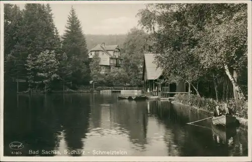 Ansichtskarte Bad Sachsa Schmelzteich 1932