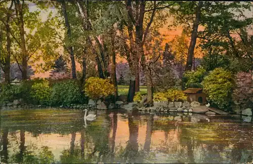 Ansichtskarte Zürich Zürichhorn 1919  gel. Stempel Neumünster Militärsache