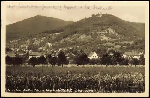 Ansichtskarte Auerbach Bergstraße -Bensheim Blick n.  Schloß u. Melibokus 1951