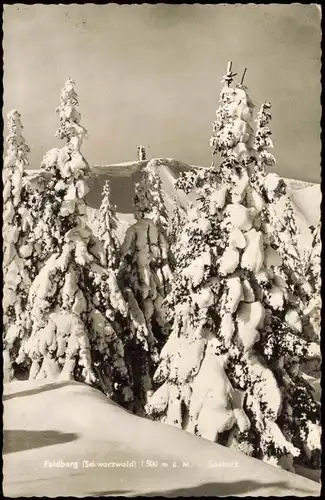 Feldberg (Schwarzwald) Feldberg (1500m) Schwarzwald im Winter 1962