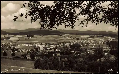 Ansichtskarte Regen Blick auf die Stadt - Fotokarte 1961