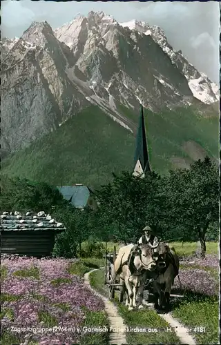 Ansichtskarte Garmisch-Partenkirchen Ochsenkarren, Zugspitzgruppe 1959