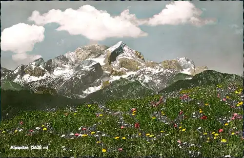 Garmisch-Partenkirchen Eckbauer 1236m Alpspitze Frühjahrswiese Colorfoto Ak 1959