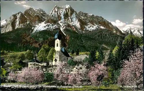 Ansichtskarte Grainau Stadt, Frühjahrsblüte - Colorfoto AK 1959