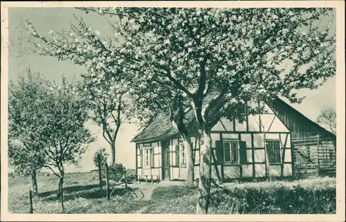 Ansichtskarte   Frühling Fachwerkhaus 1932  gel. Bahnpoststempel Hof Regensburg