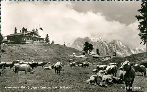 Garmisch-Partenkirchen Kreuzalm gegen Dreitorspitze - Ochsen 1959