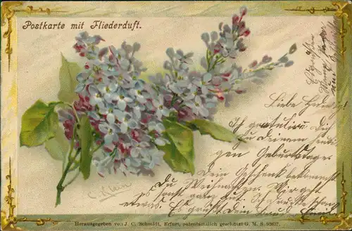 Ansichtskarte  Botanik :: Blumen Postkarte mit Fliederduft. 1911