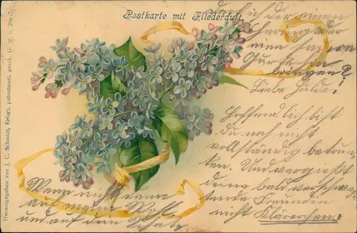 Ansichtskarte  Botanik :: Blumen Postkarte mit Fliederduft 1910