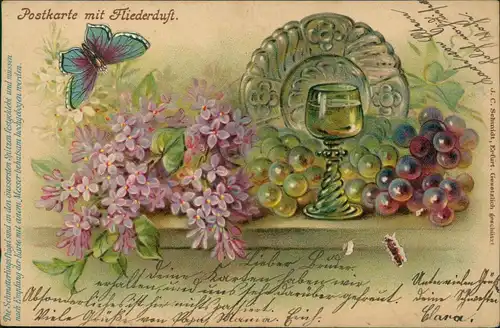 Ansichtskarte  Botanik :: Blumen Postkarte mit Fliederduft Schmetterling 1902