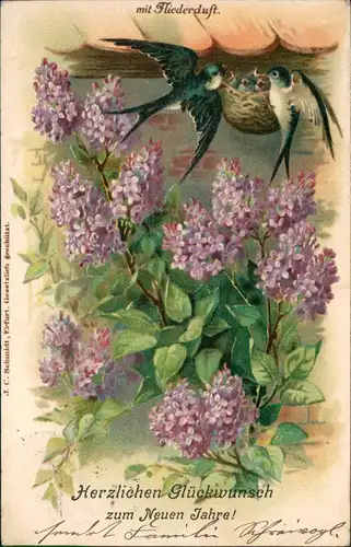 Ansichtskarte  Neujahr Sylvester New Year Vögel AK mit Fliederduft 1905