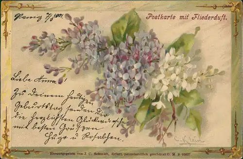 Ansichtskarte  Künstlerkarte Flieder Postkarte mit Fliederduft 1901