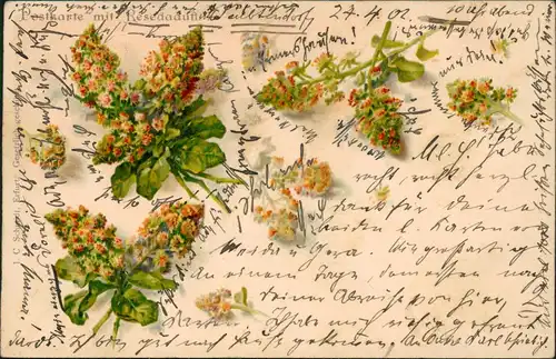 Ansichtskarte  Künstlerkarte Postkarte mit Resedaduft 1905  gel. Bahnpoststempel