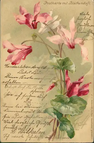Ansichtskarte  Künstlerkarte Orchideen - Postkarte mit Blütenduft 1901