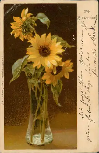Ansichtskarte  Künstlerkarte Sonnenblumen, Postkarte mit Blütenduft 1907