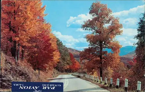 Postcard Kanada (allgemein) Ontario Autumn colors along winding road 1966
