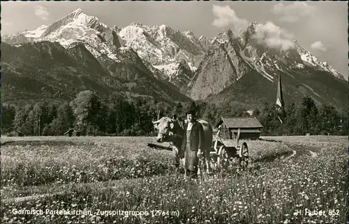 Ansichtskarte Grainau Zugspitzgruppe (2964 m) Bauer mit Ochsenkarren 1958