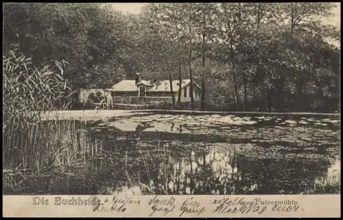 Postcard Stettin Szczecin Buchheide - Pulvermühle 1906