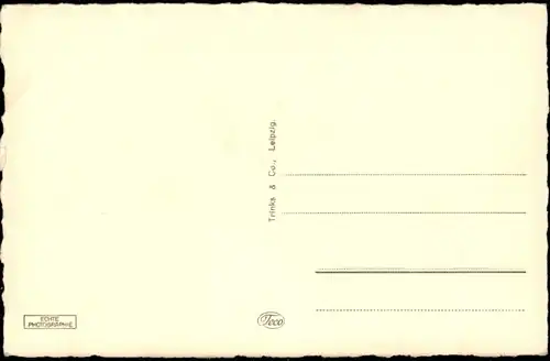 Postcard Belgard an der Persante Białogard Partie am Mückepark 1929
