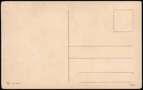 Ansichtskarte  Arbre de la Vierge à Matarieh CAIRE Fauna & Pflanzen 1910